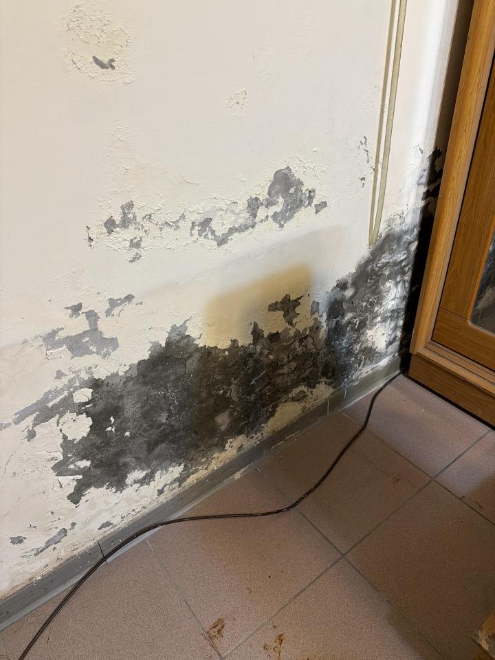 壁癌處理案件圖片