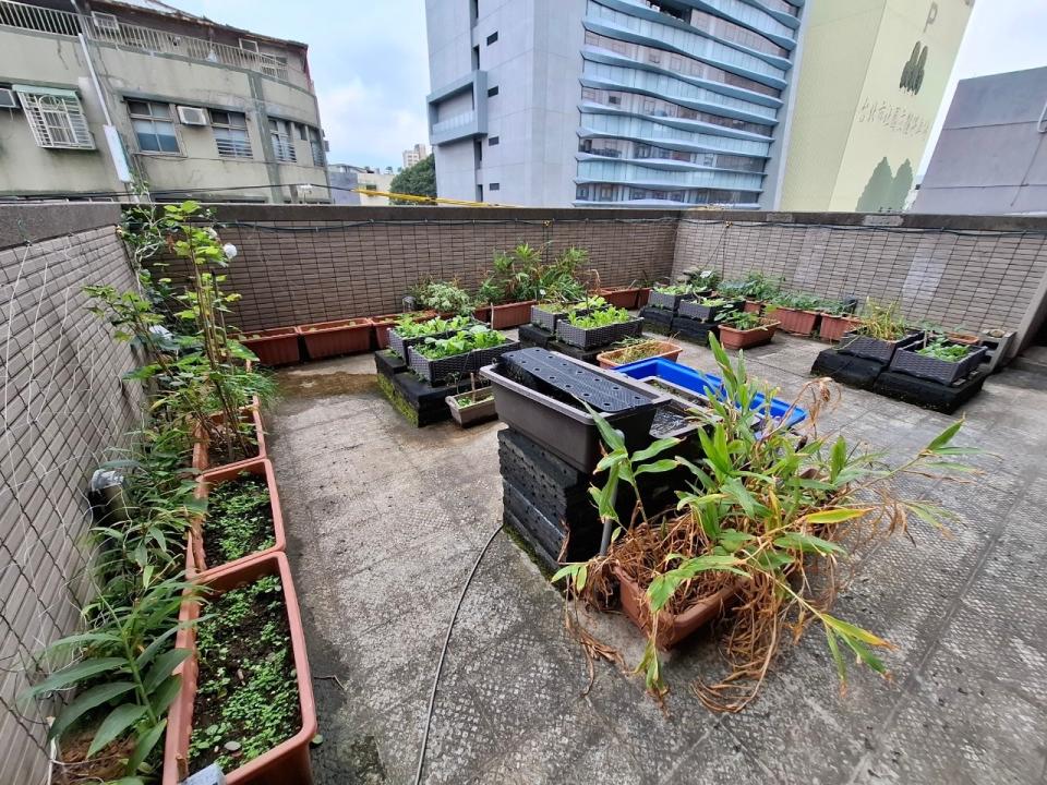 花園自動灑水系統案件圖片