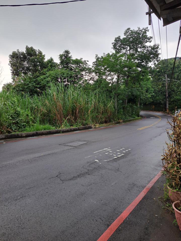 園藝維護案件圖片