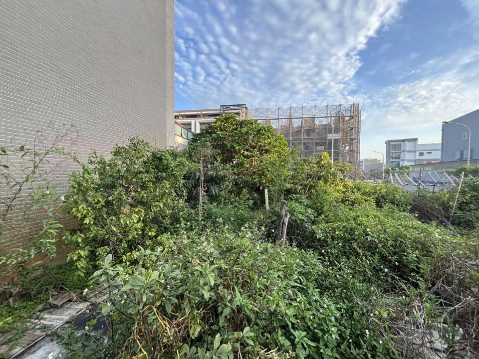 園藝維護案件圖片