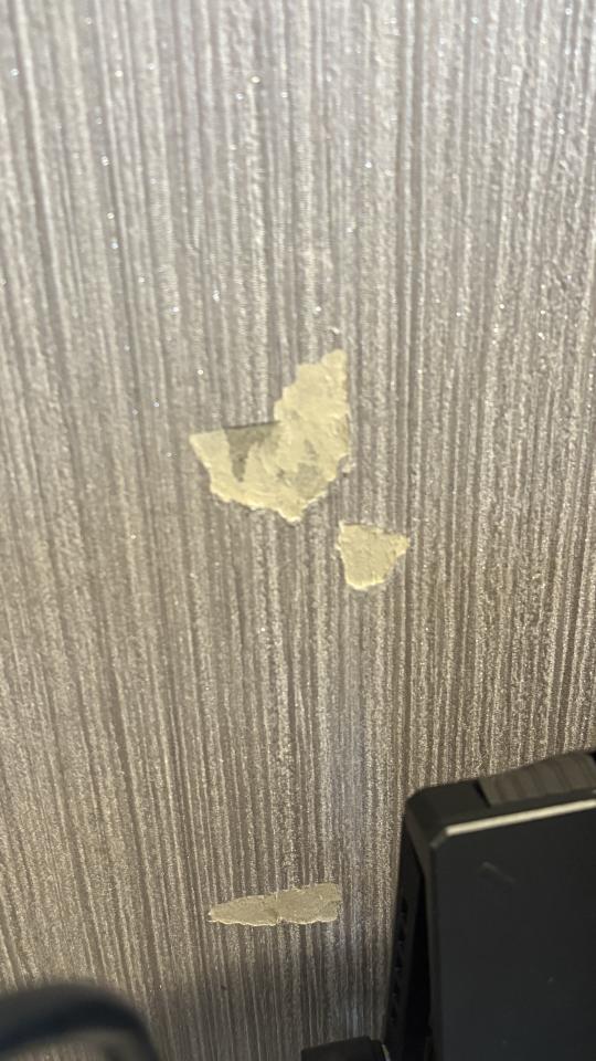 壁紙施工案件圖片