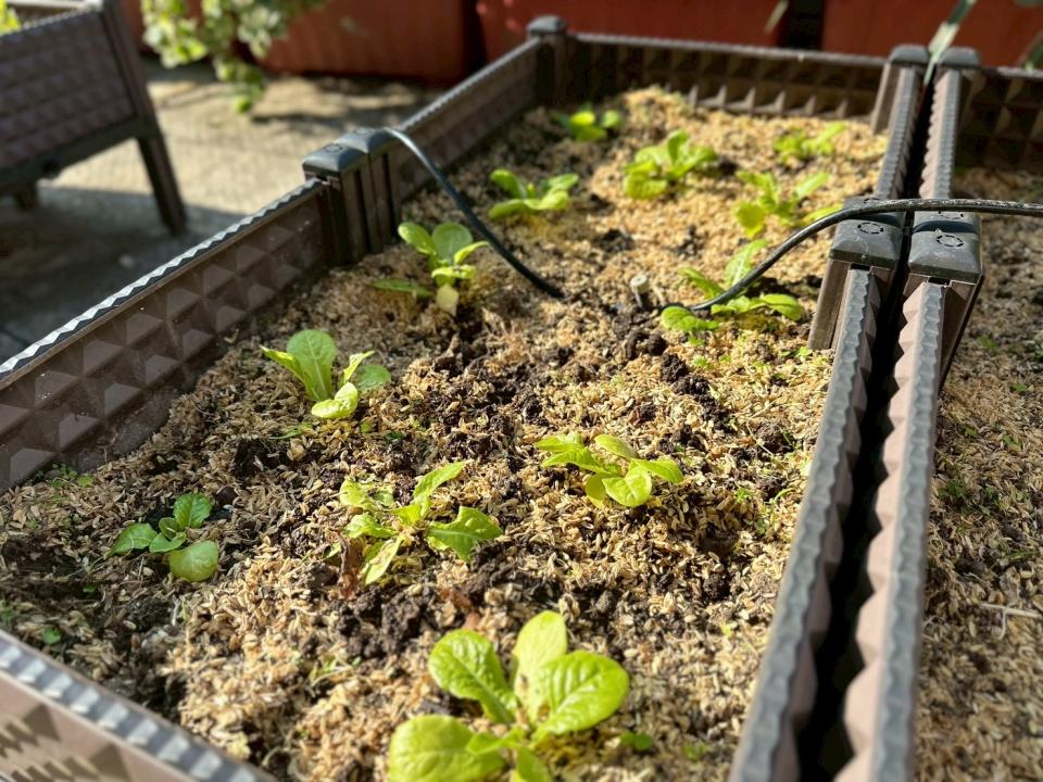 花園自動灑水系統案件圖片