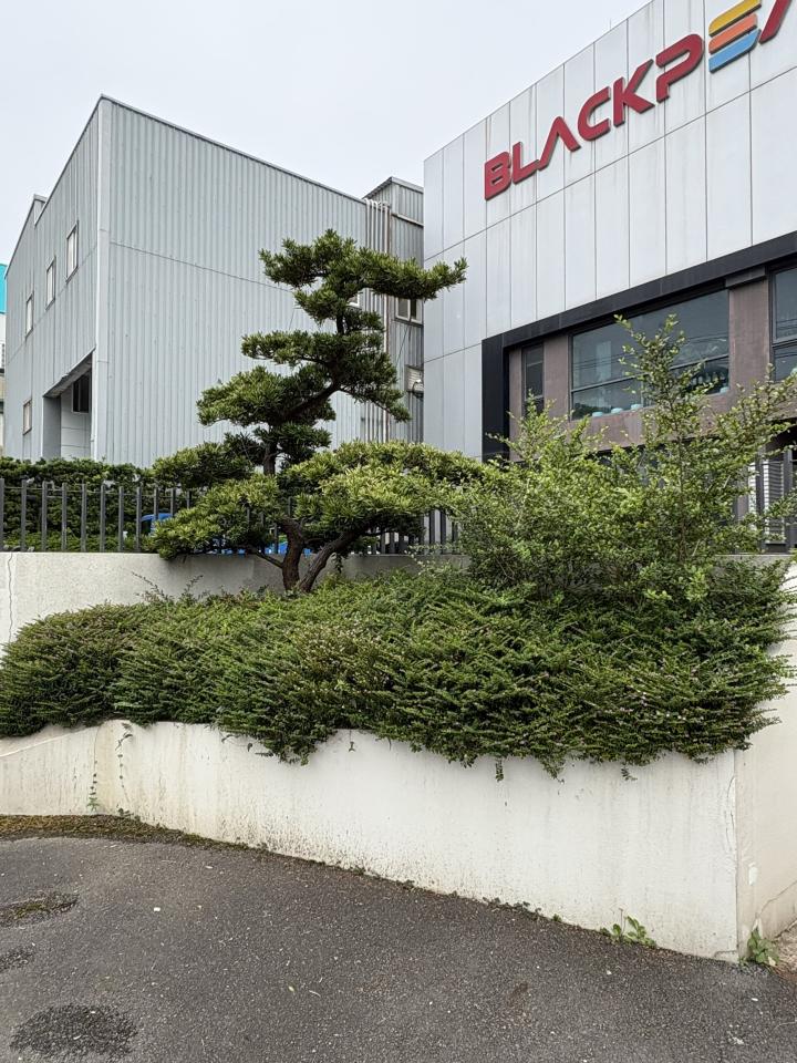 園藝維護案件圖片