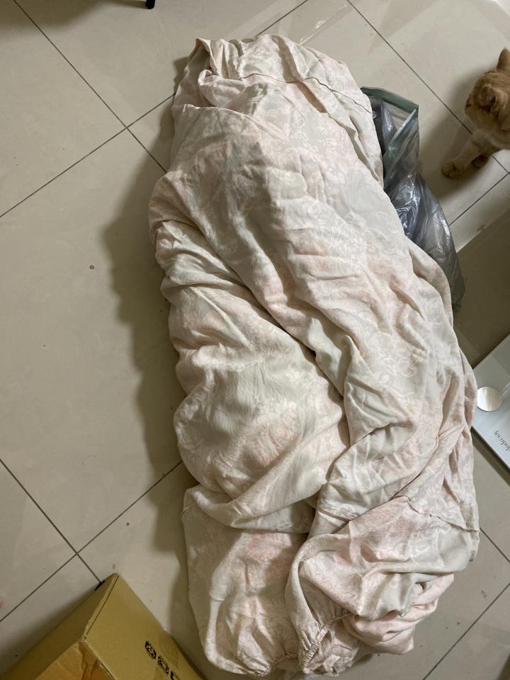 洗衣到府收送案件圖片