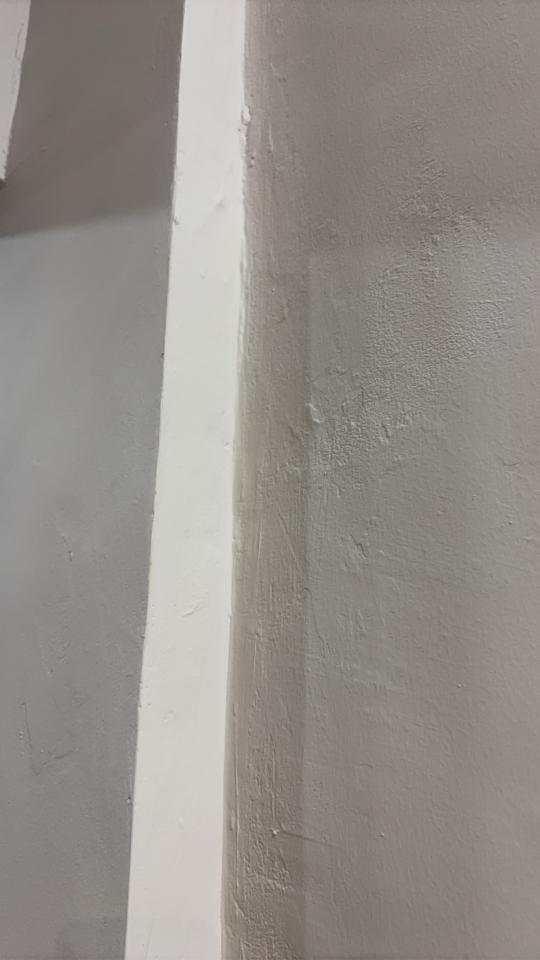 油漆工程案件圖片