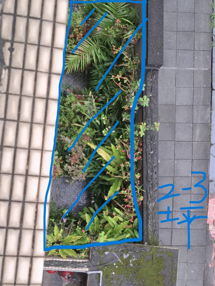 防墜網安裝案件圖片