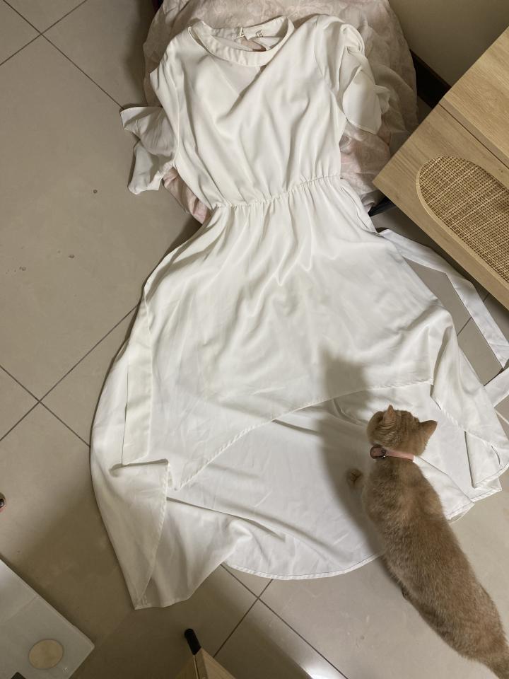 洗衣到府收送案件圖片