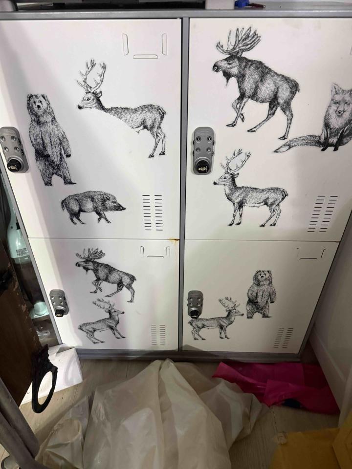 大型垃圾回收案件圖片