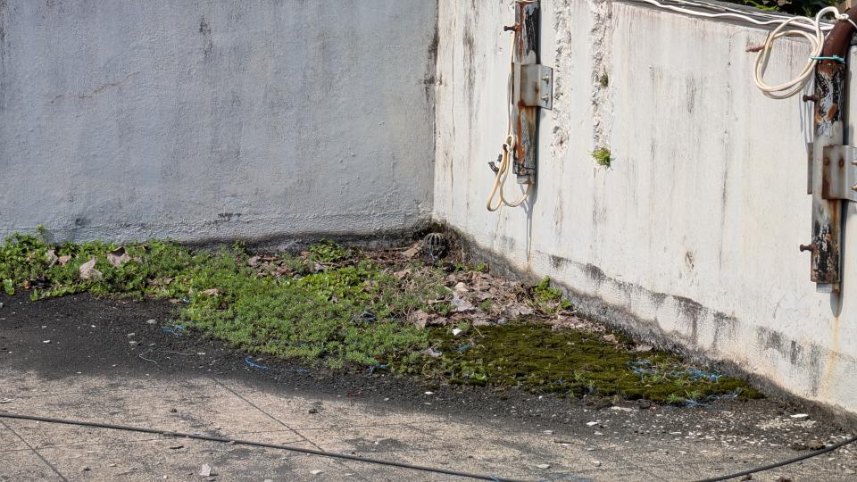 屋頂排水案件圖片