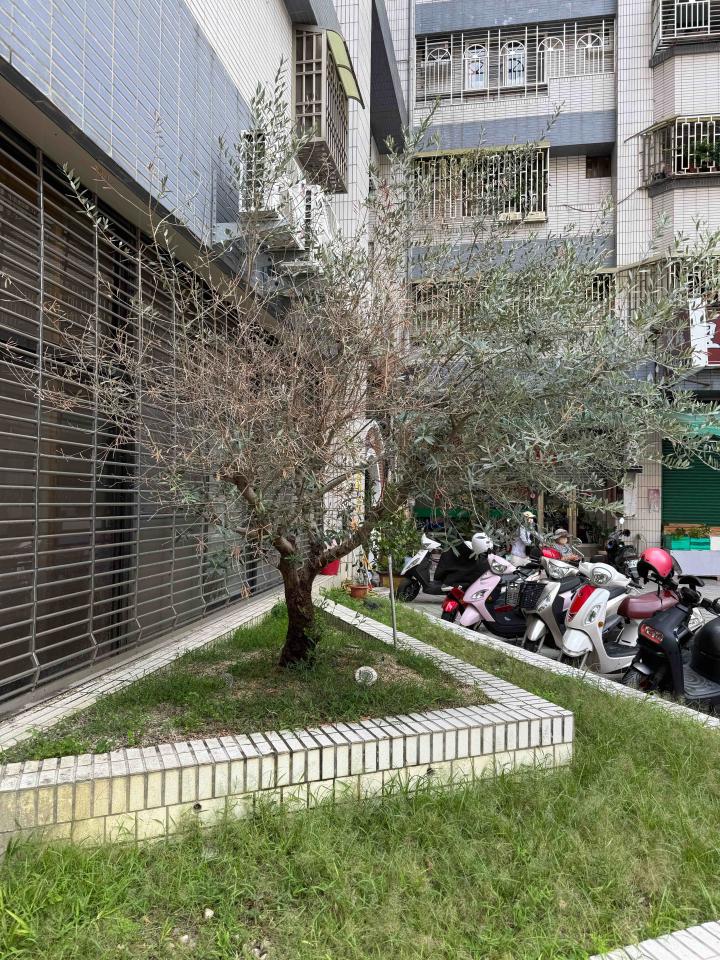 園藝維護案件圖片