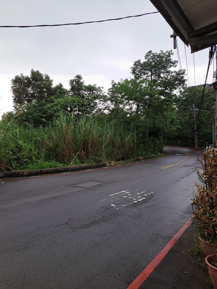 園藝維護案件圖片