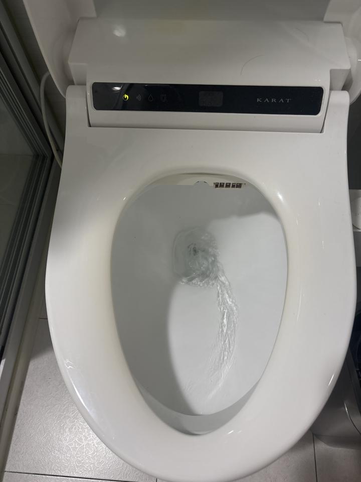 馬桶裝修案件圖片