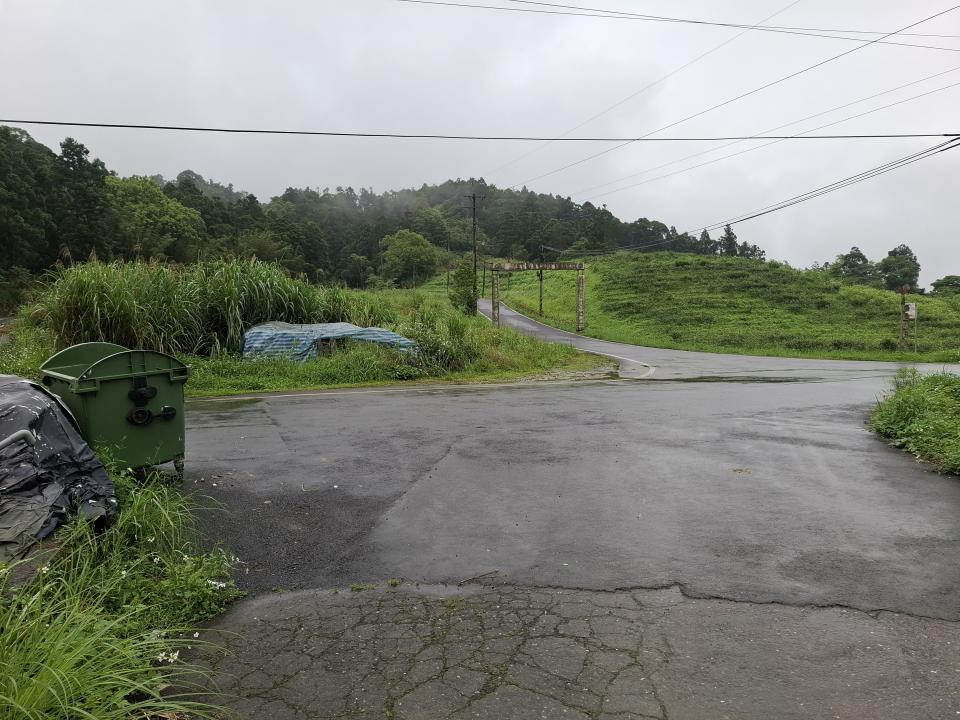 園藝維護案件圖片