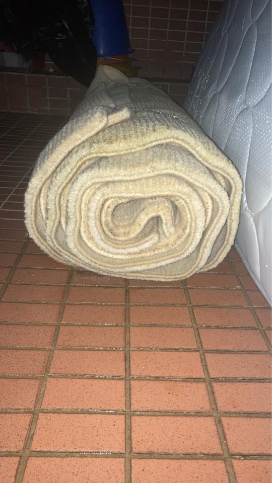 大型垃圾回收案件圖片