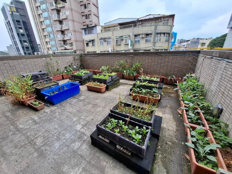 花園自動灑水系統案件圖片