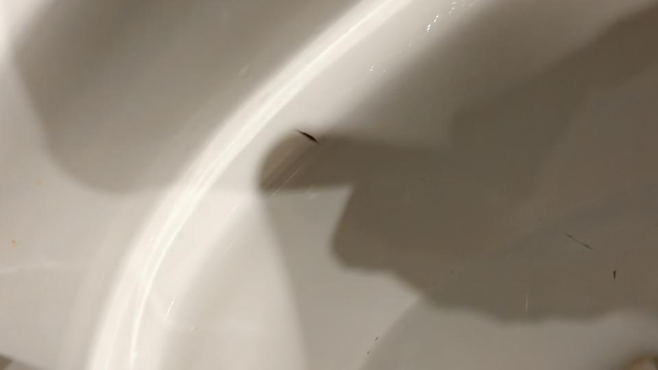 馬桶裝修案件圖片