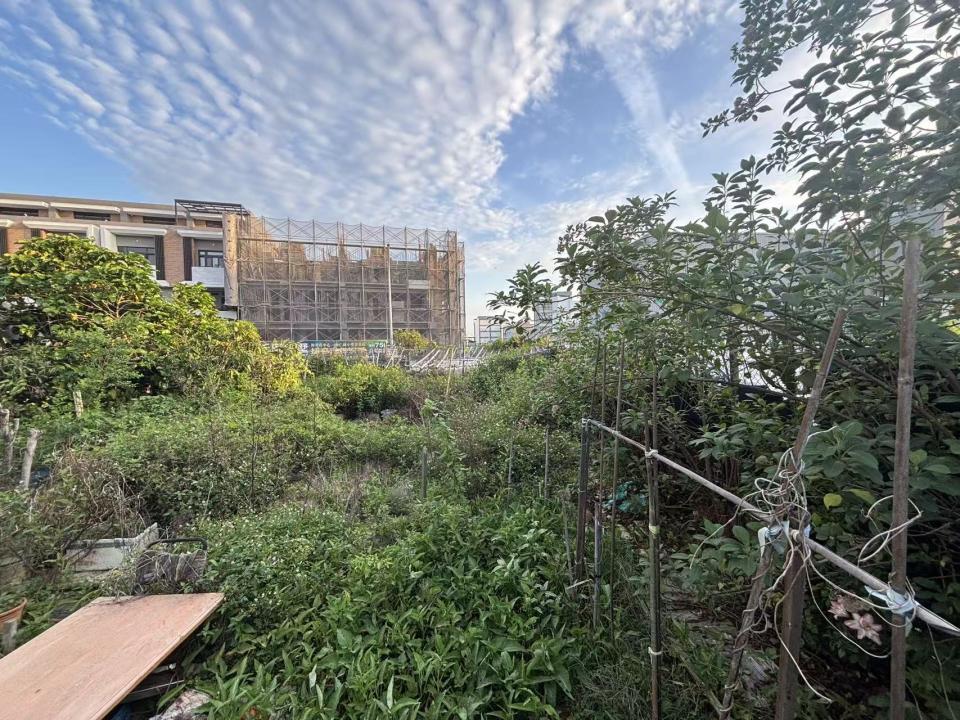 園藝維護案件圖片