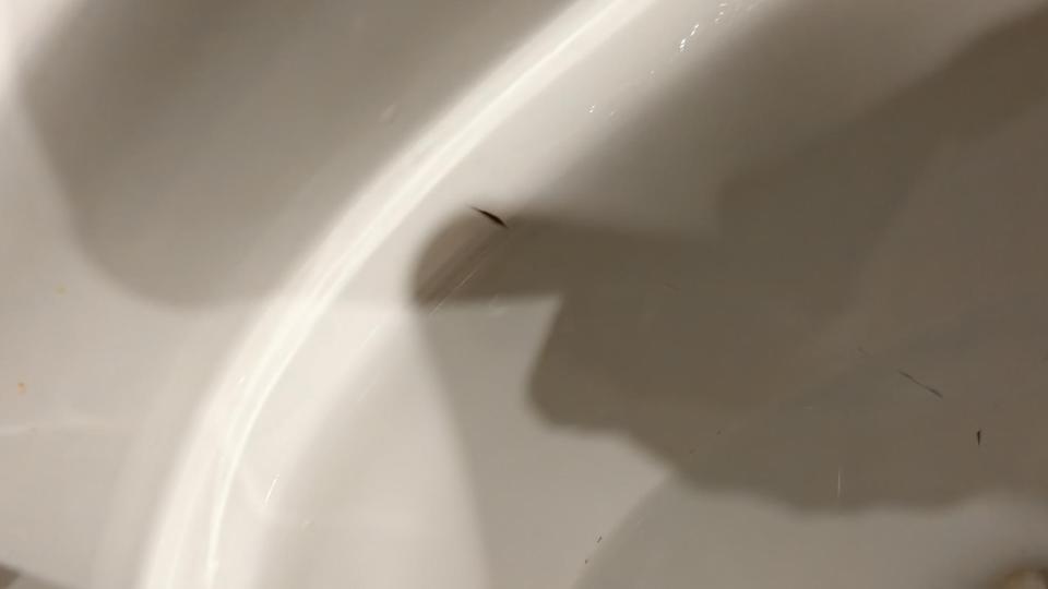 馬桶裝修案件圖片