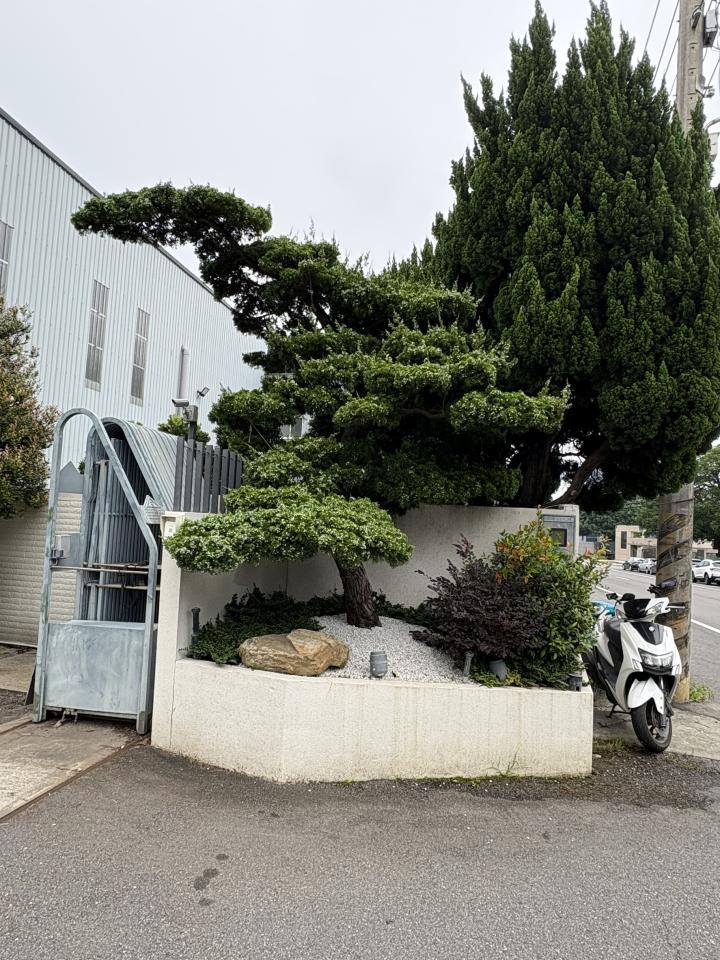 園藝維護案件圖片