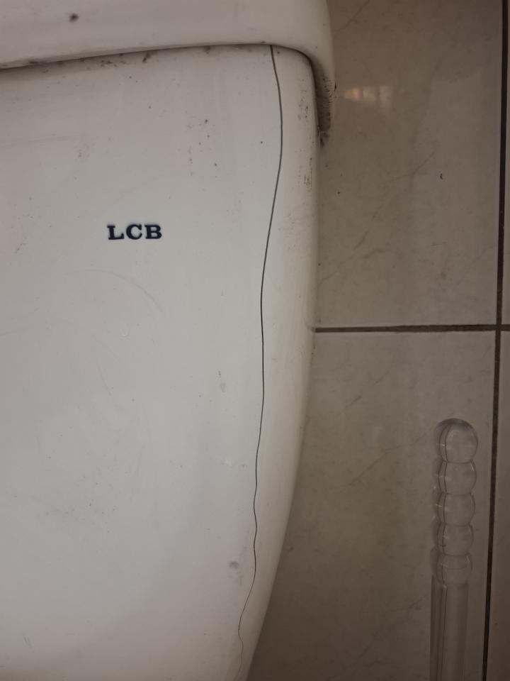 馬桶裝修案件圖片