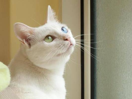 招牌製作案件圖片