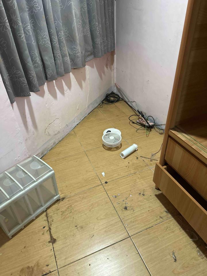 搬家清潔案件圖片