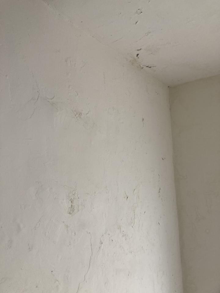 油漆工程案件圖片