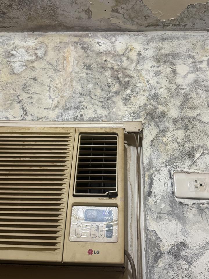 抓漏案件圖片