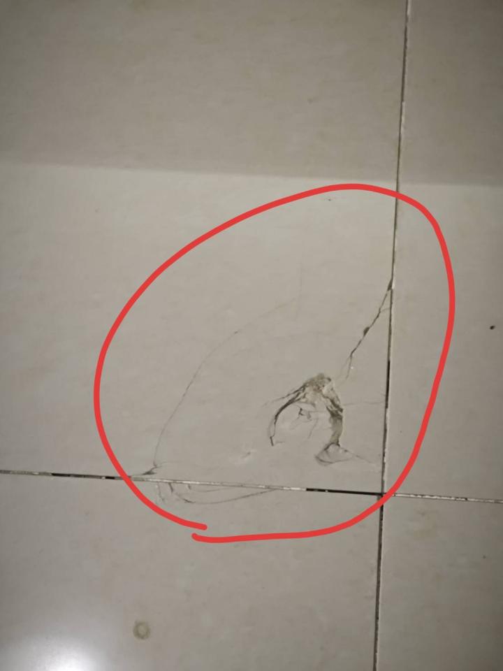 磁磚修補案件圖片