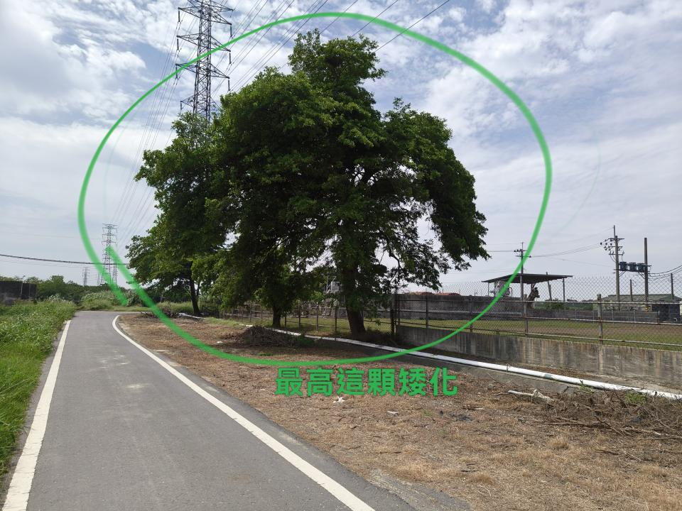 園藝維護案件圖片