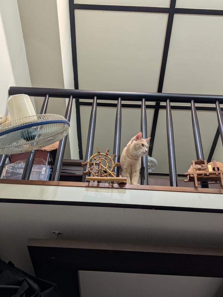 樓梯扶手案件圖片