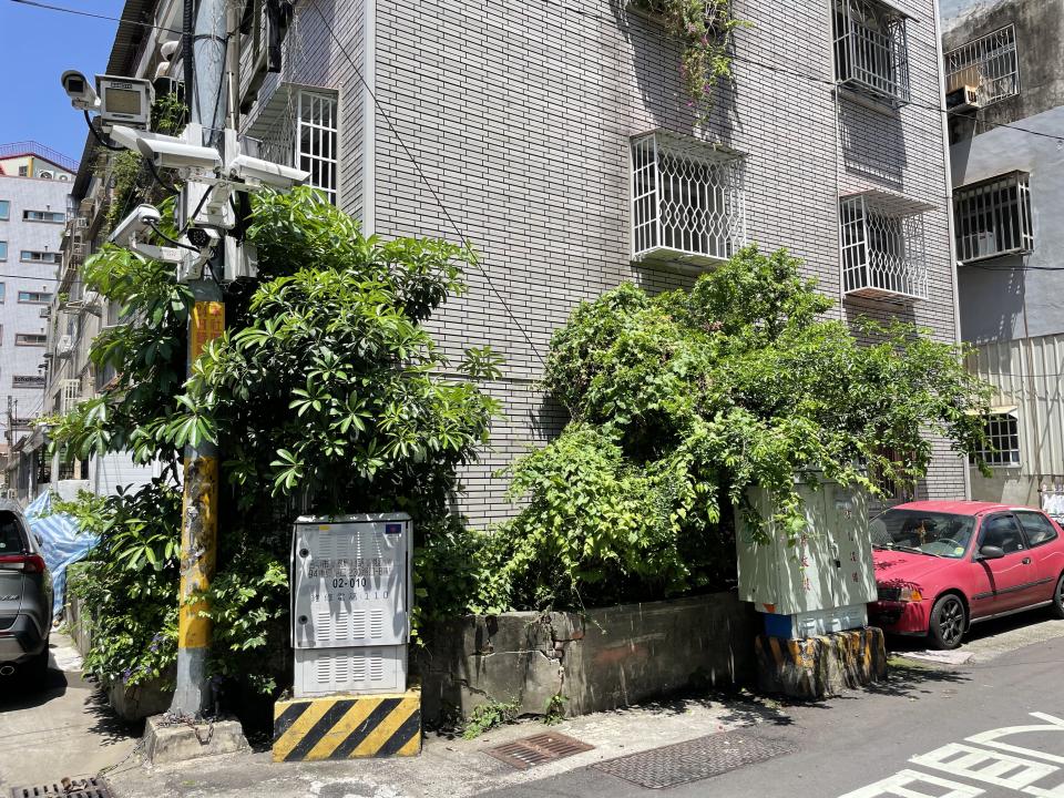 園藝維護案件圖片