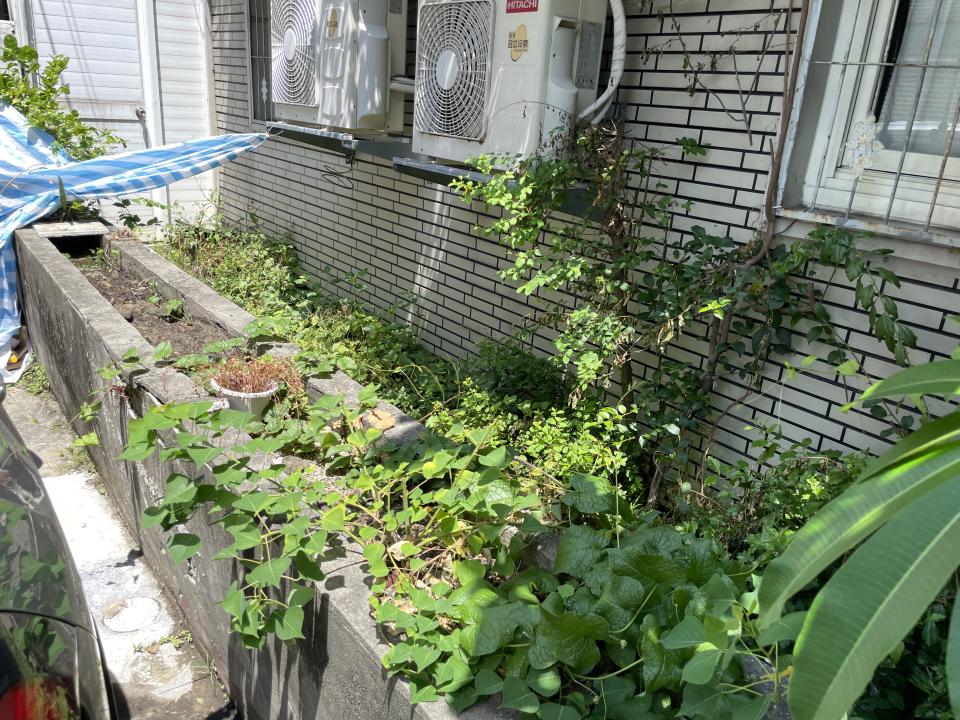 園藝維護案件圖片