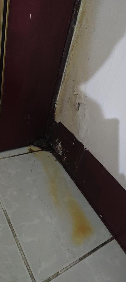 漏水處理案件圖片