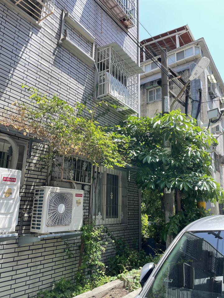 園藝維護案件圖片