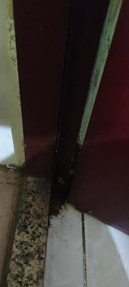 漏水處理案件圖片