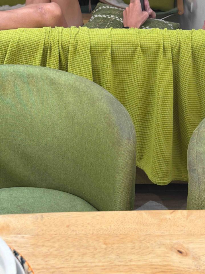 沙發清潔案件圖片