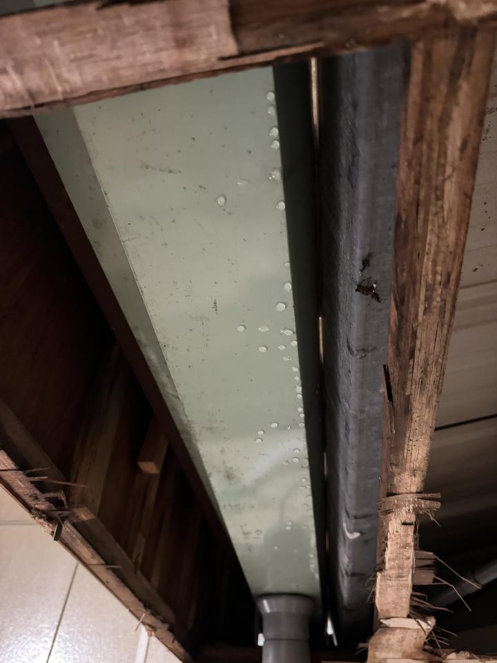 屋頂防水案件圖片