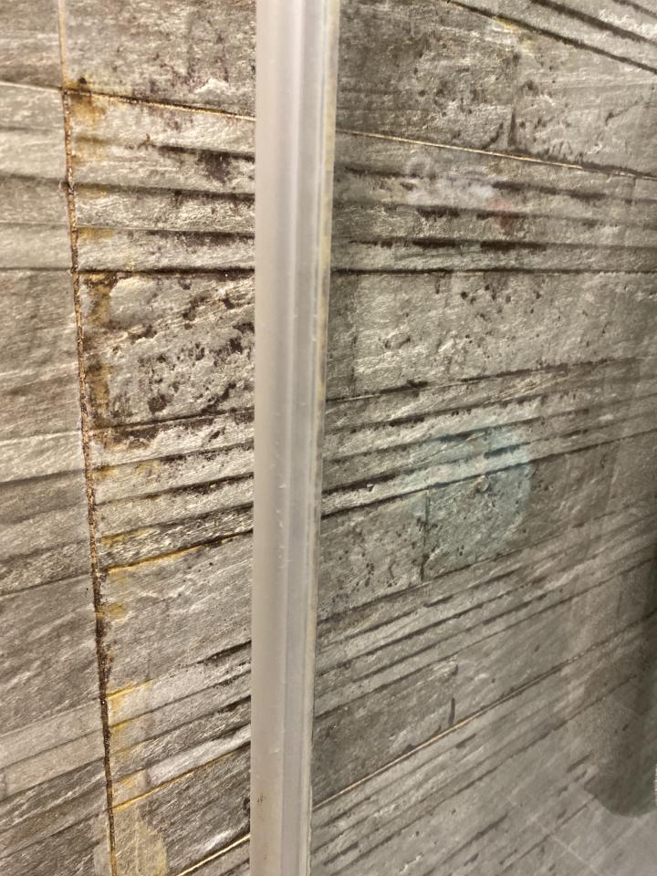 浴室除霉清潔案件圖片