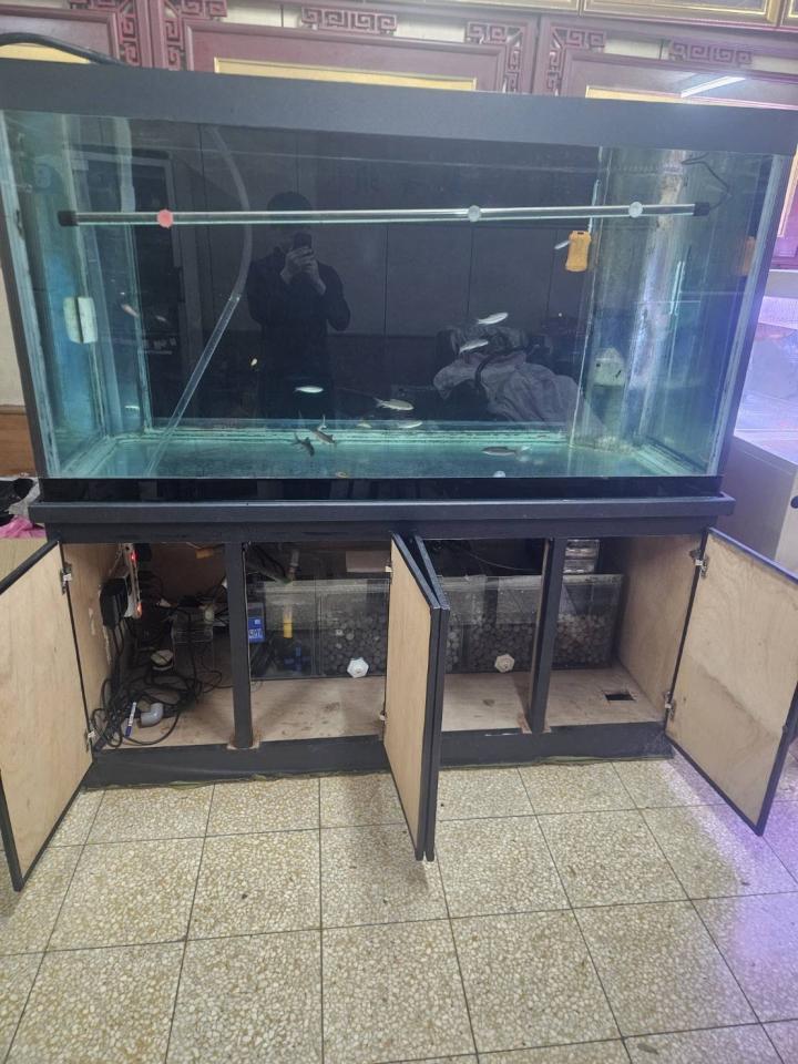 載貨運輸服務案件圖片