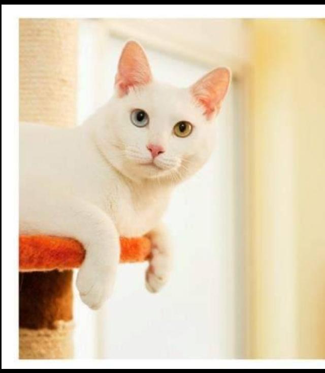 招牌製作案件圖片