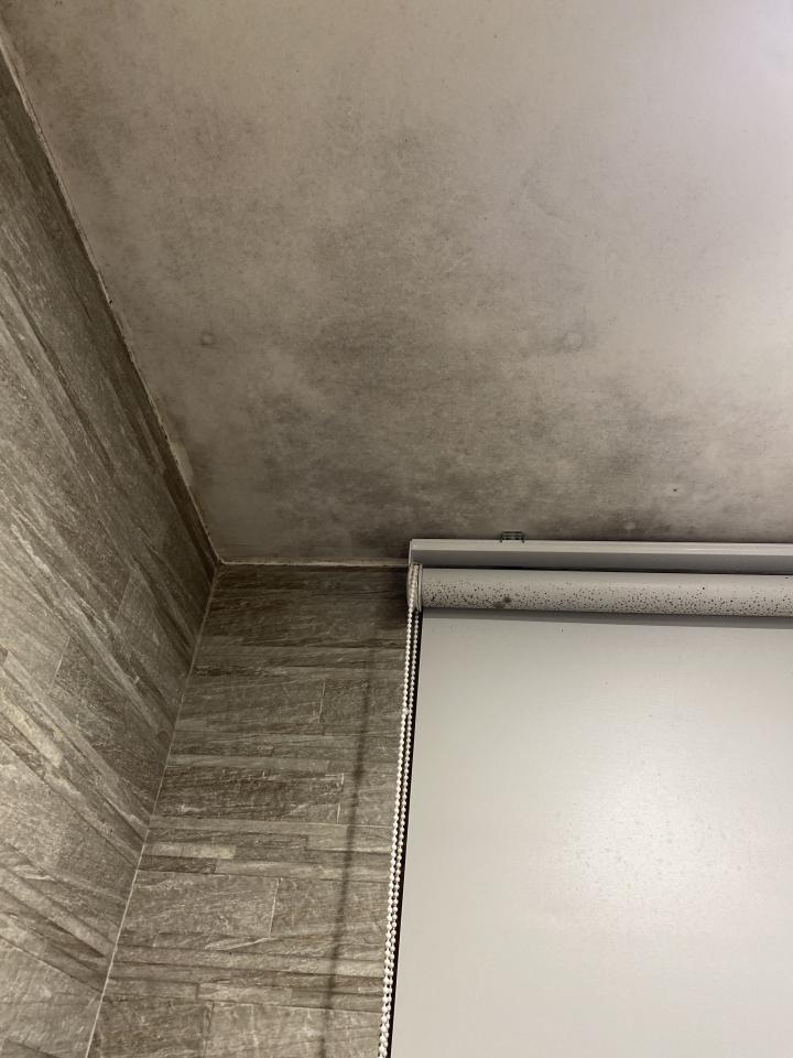 浴室除霉清潔案件圖片