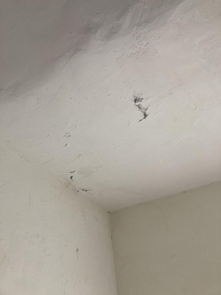 油漆工程案件圖片