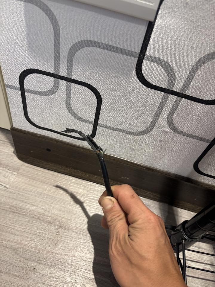 電線裝修案件圖片