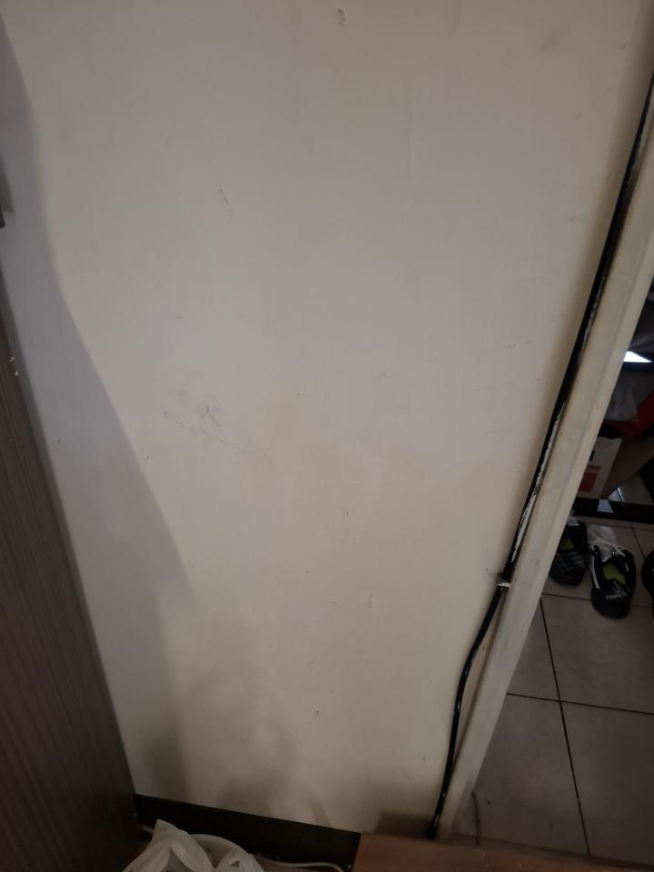 油漆工程案件圖片