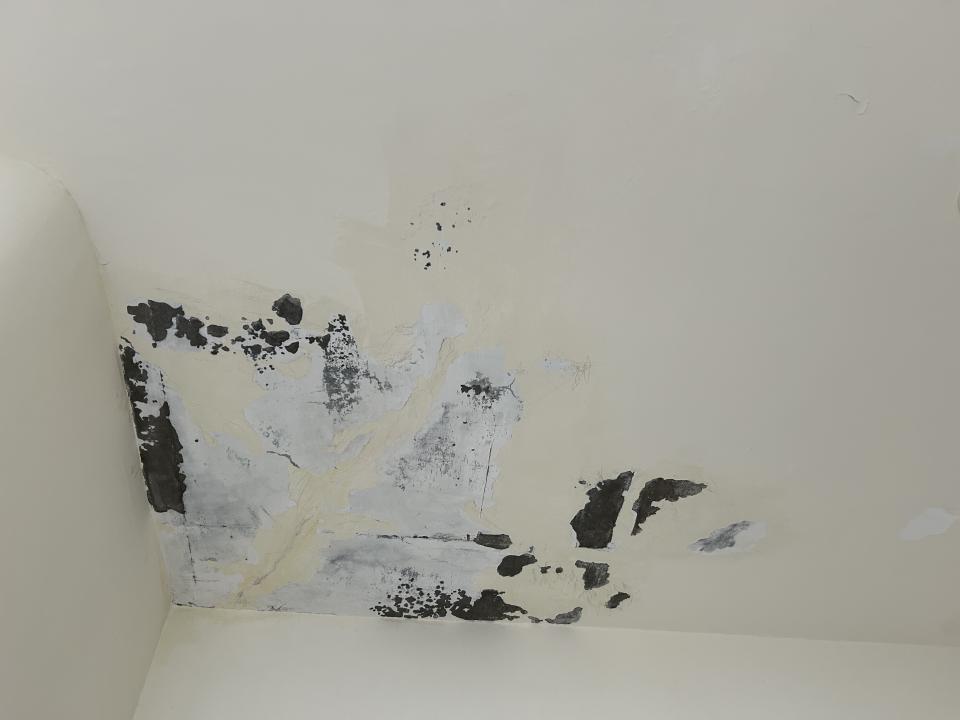油漆工程案件圖片