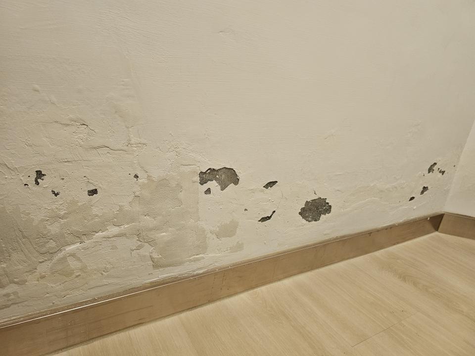 抓漏案件圖片