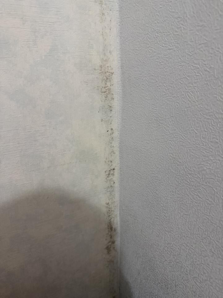 居家修繕案件圖片