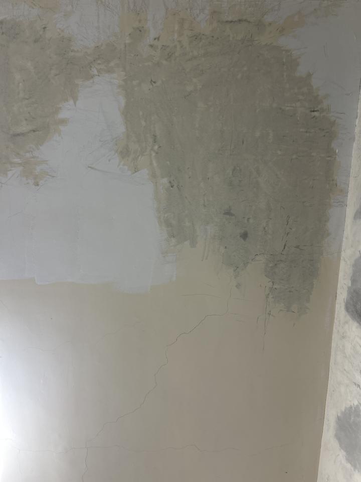 油漆工程案件圖片