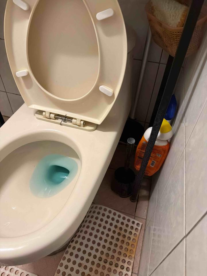 免治馬桶裝修案件圖片